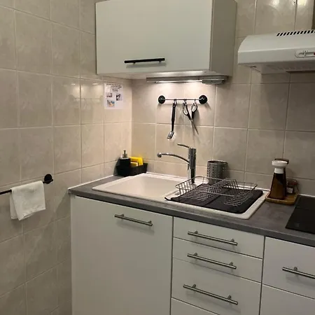 Appartement T1 Cote Jardin A Thionville Extérieur photo