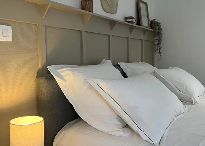 Appartement T1 Cote Jardin A Thionville